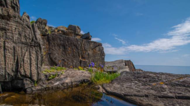 Spectacular rock formation along the East Coast Trail | Sherry Ott