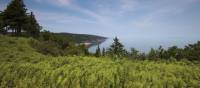 Bay of Fundy Coastline | Guy Wilkinson