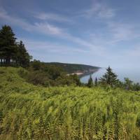 Bay of Fundy Coastline | Guy Wilkinson