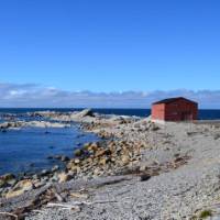 Broom Point, Gros Morne, NL