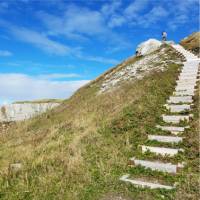 Stairs with a view in Gros Morne National Park