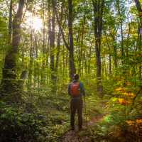 A perfect day to hike the Bruce Trail | Pete Heck