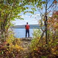 Immerse yourself in nature’s vibrant beauty | Pete Heck