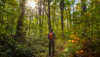 A perfect day to hike the Bruce Trail |  Pete Heck