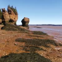 Sea floor walk at Hopewell Rocks | Keri May