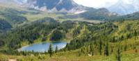 Alpine Meadows of the Canadian Rockies