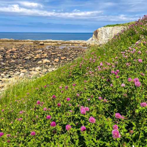 Nature’s colour palette, from pink wildflowers to ocean blue