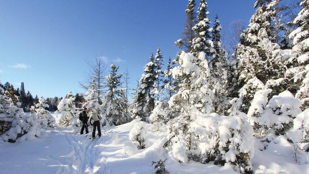 Enjoy the serenity of winter in Algonquin Provincial Park