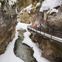 Ice Walk through Johnston Canyon | Banff Lake Louise Tourism