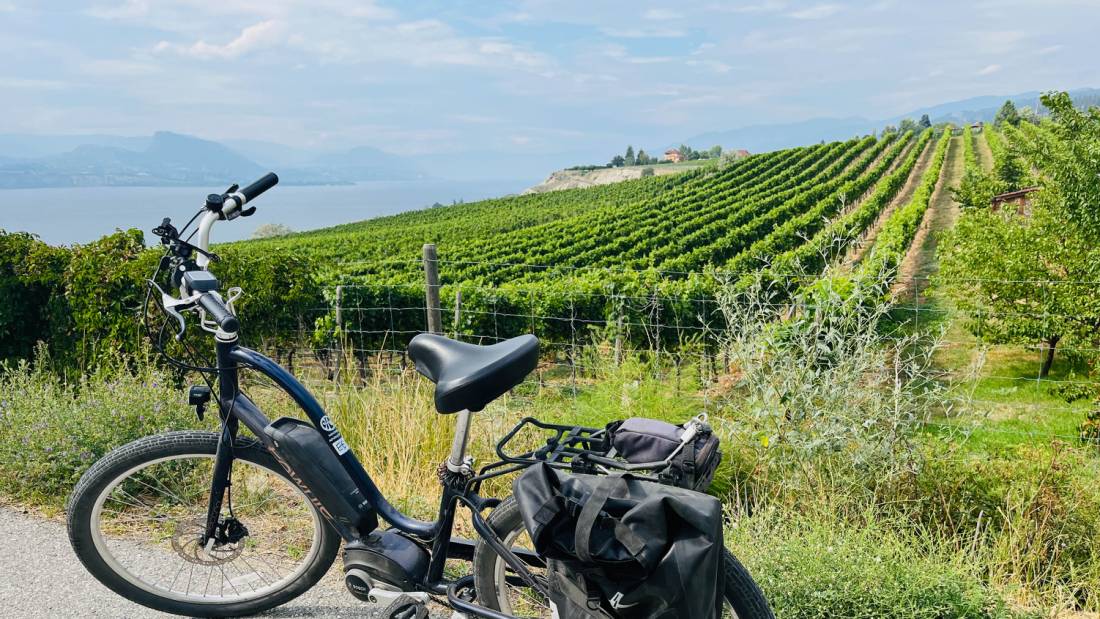 Biking on the Kettle Valley Rail Trail through orchards and vineyards |  <i>Robin Esrock</i>