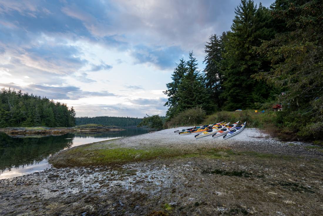 Kayaks at camp in coastal British Columbia | <i>Jenn Dickie Photography</i>