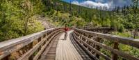 Wooden Trestle Bridges of the Kettle Valley rail trail near Kelowna, BC