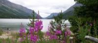 Our trail ends in Lake Bennett