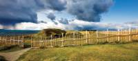 Viking settlement on the north end of Newfoundland | Barrett & MacKay Photo