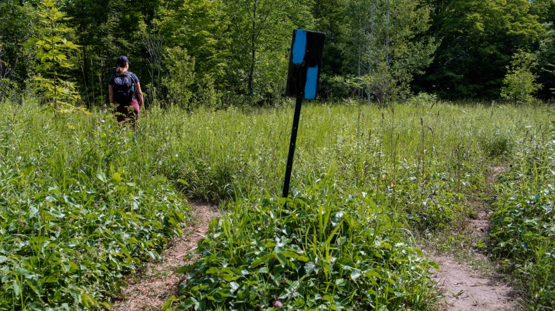 Wayfinding signs help you stay safely on the trail |  <i>Élise Arsenault</i>