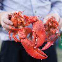 Enjoy fresh lobster during your stay in New Brunswick | Guy Wilkinson