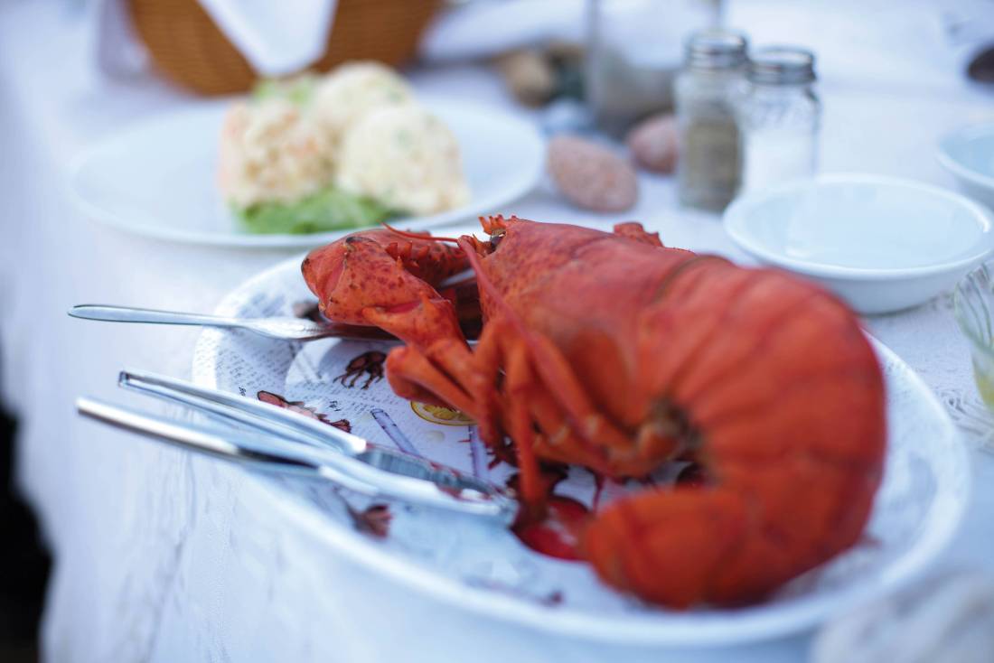 Gourmet meals on the beaches of Fundy. | <i>Guy Wilkinson</i>