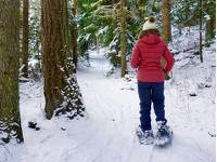 Snowshoeing in British Columbia |  <i>Cam Andrews</i>