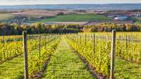 Local vineyards line the Annapolis Valley Trail