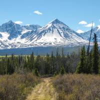 Kluane's dramatic Auriol Range can be seen as you enter the park