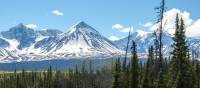 Kluane's dramatic Auriol Range can be seen as you enter the park