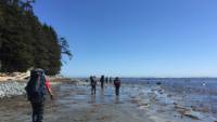 North Coast Trail hikers on a beach section