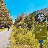 On your bike into the beautiful Annapolis Valley | Caroline Mongrain