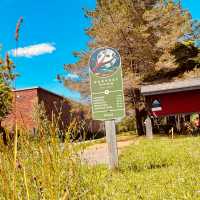 Ride the Harvest Moon Trailway through the beautiful Annapolis Valley |  Caroline Mongrain