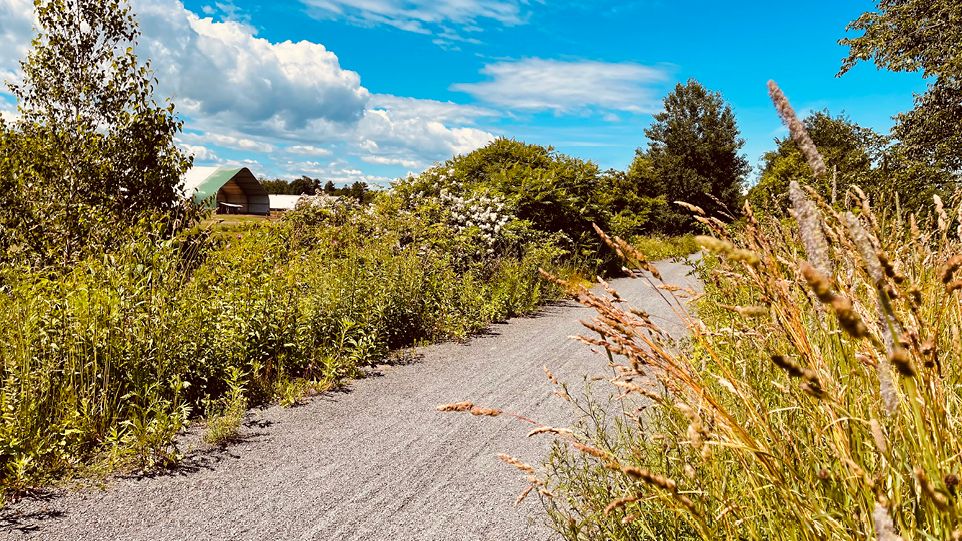 The Harvest Moon Trailway meanders across charming rural landscapes | Caroline Mongrain