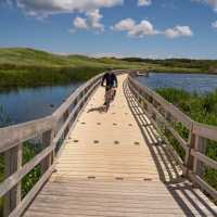 Cross over a marsh on a floating bridge among sand dunes | Sherry Ott