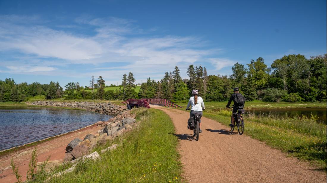 Cycle along the shore of St. Peters Bay on the Confederation Trail |  <i>Sherry Ott</i>