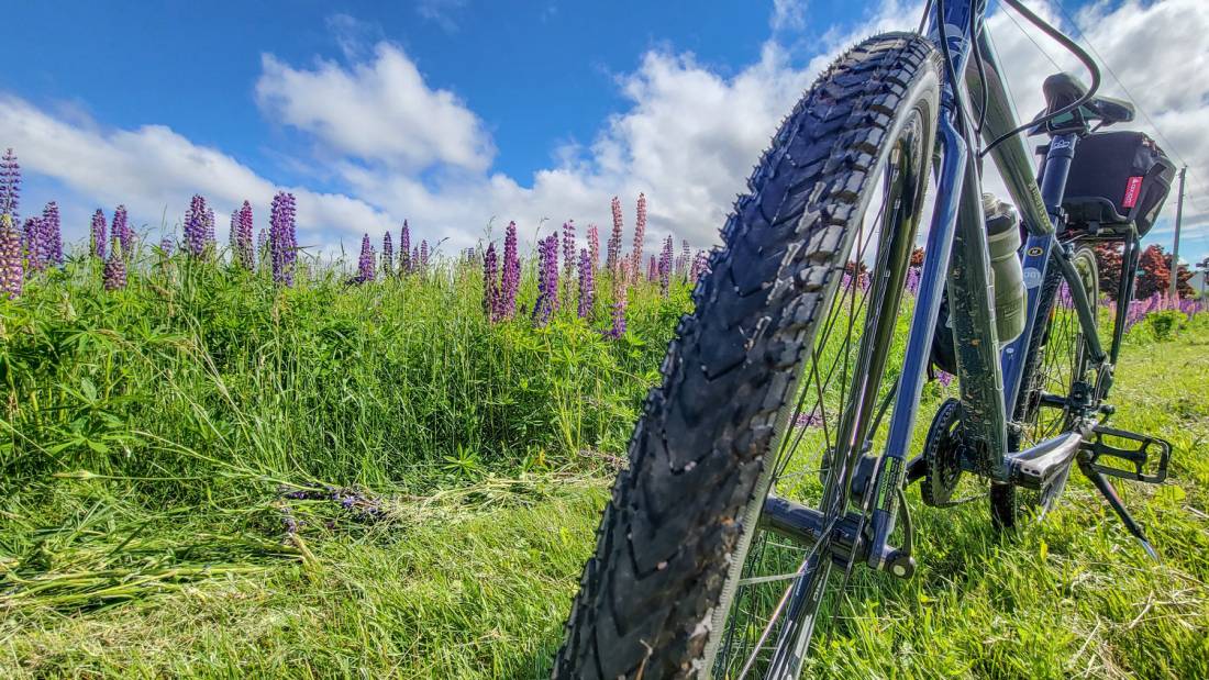 Hybrid bikes are ideal for the mixed terrain from the Confederation Trail to the Gulf Shore Way |  <i>Sherry Ott</i>