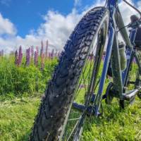 Hybrid bikes are ideal for the mixed terrain from the Confederation Trail to the Gulf Shore Way | Sherry Ott