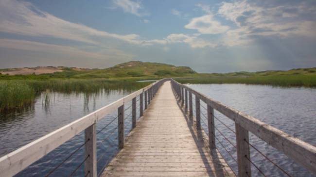 Take a stroll on this floating boardwalk to a quiet white sand beach | Sherry Ott