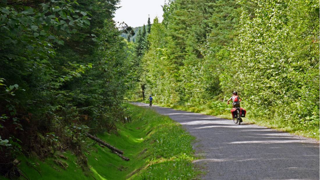Enjoy the beautiful forests as you cycle on the P'tit Train du Nord |  <i>Nathalie Gauthier</i>