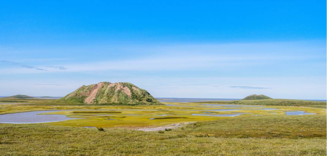 There are around 1350 Pingos in the Pingo National Landmark | <i>Parks Canada/Eric Laflamme</i>