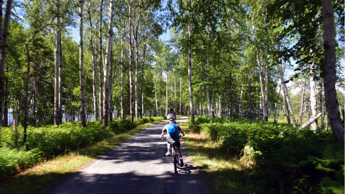 Child enjoying the path in Parc Pointe-Taillon |  <i>Nathalie Gauthier</i>