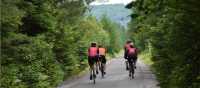 Riding the P'tit Train du Nord bike path into the forest | Nathalie Gauthier