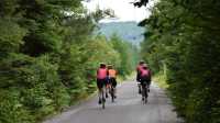 Riding the P'tit Train du Nord bike path into the forest |  Nathalie Gauthier