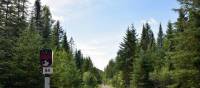Quiet trail along le P'tit Train du Nord | Nathalie Gauthier