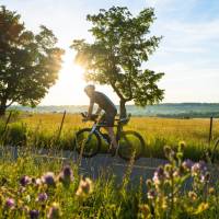 Bask in the sun amidst vibrant flowers on the Montagnarde trail | Charles Dion