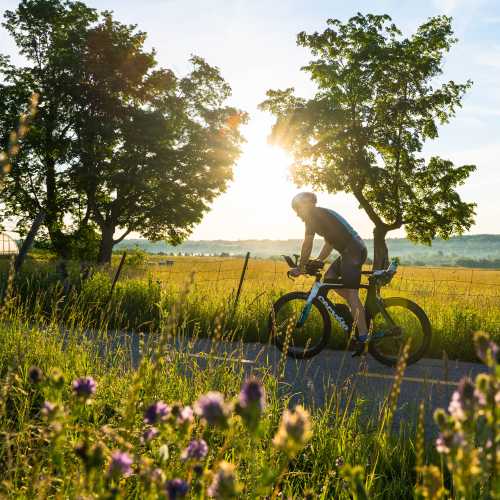Bask in the sun amidst vibrant flowers on the Montagnarde trail