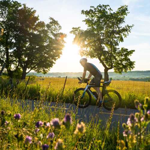 Bask in the sun amidst vibrant flowers on the Montagnarde trail