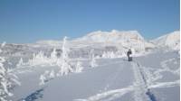 Breaking snowshoe trails in the fresh powder of the Canadian Rockies
