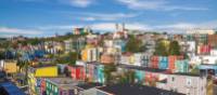 St. John's Colourful City Scenes | ©Barrett & MacKay Photo