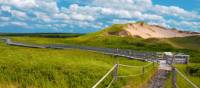 Greenwich Sand Dunes in Prince Edward Island National Park | Tourism PEI/Heather Ogg