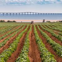 Confederation Bridge, Prince Edward Island | Tourism PEI/Stclair Macaulay