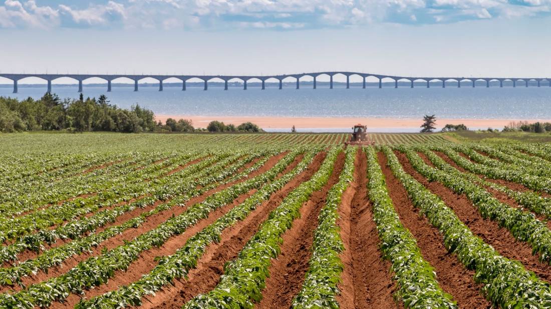 Confederation Bridge, Prince Edward Island |  <i>Tourism PEI/Stclair Macaulay</i>