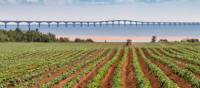 Confederation Bridge, Prince Edward Island | Tourism PEI/Stclair Macaulay