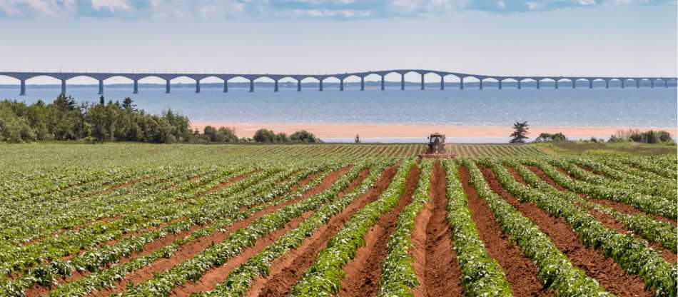 Great Canadian Trails Trips In Prince Edward Island